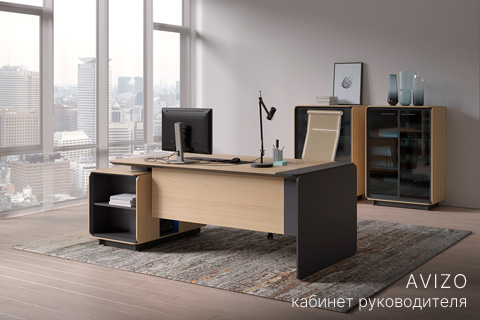 Кабинет руководителя Avizo (Беларусь)