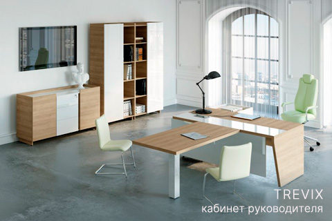 Кабинет руководителя Trevix (Беларусь)