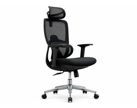A2519