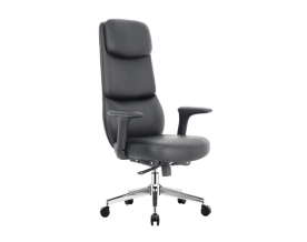 GA219